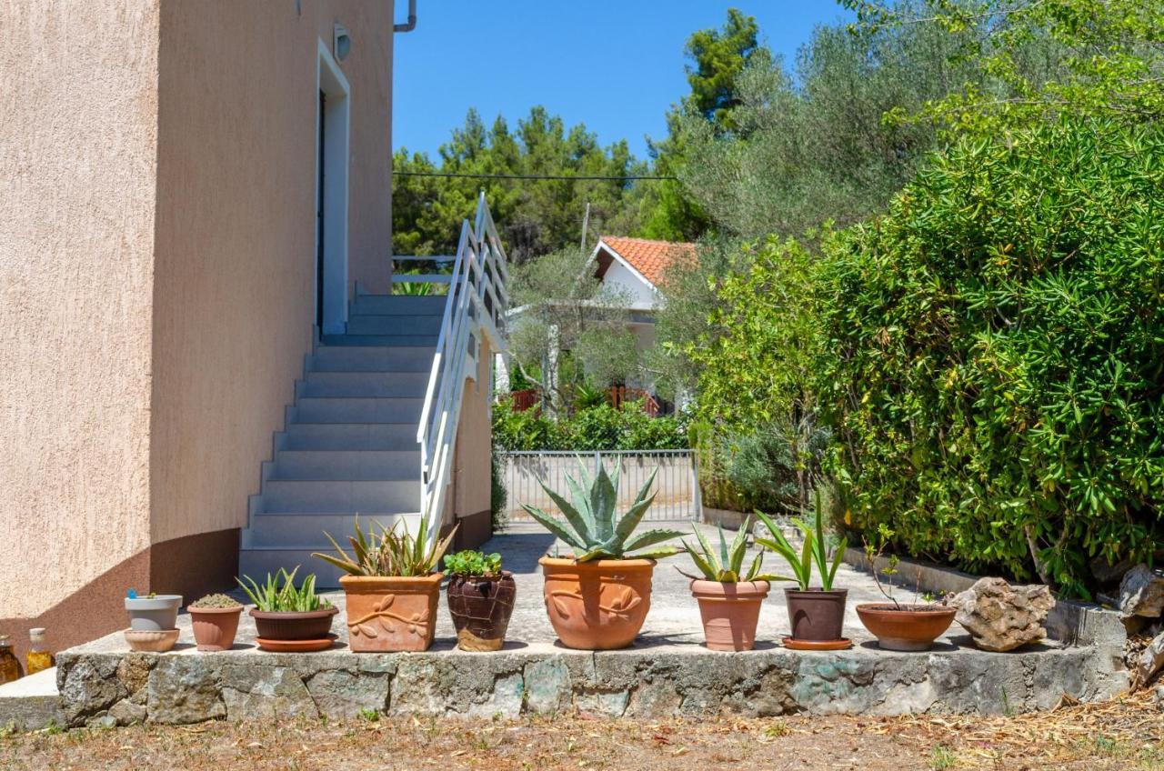 Apartment Tanja Vela Luka Dış mekan fotoğraf