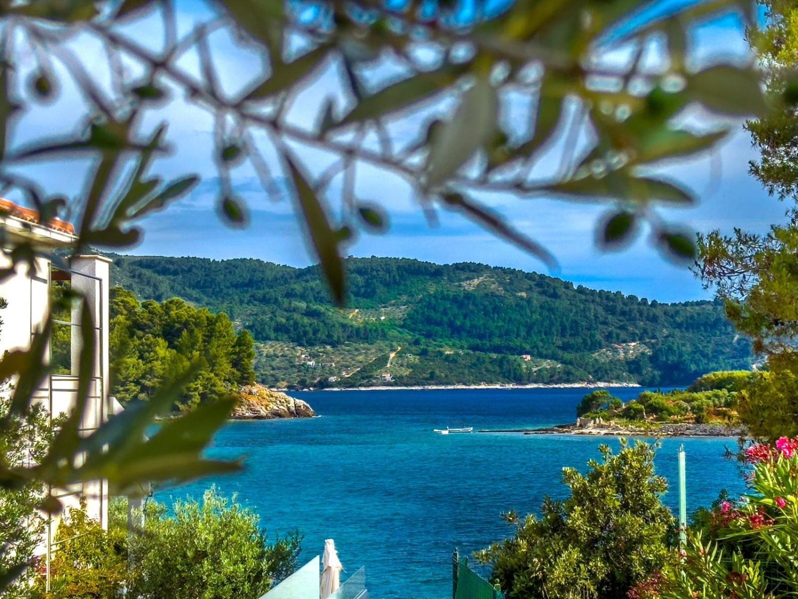 Apartment Tanja Vela Luka Dış mekan fotoğraf