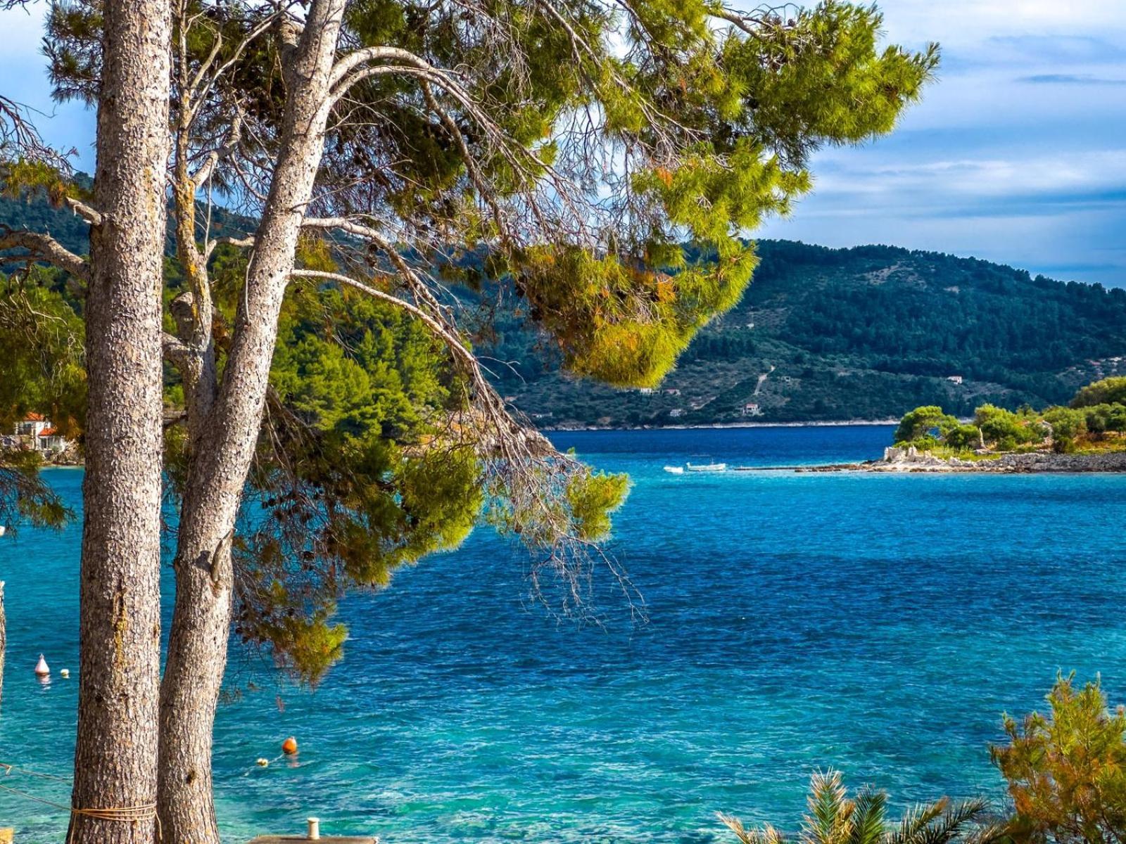 Apartment Tanja Vela Luka Dış mekan fotoğraf