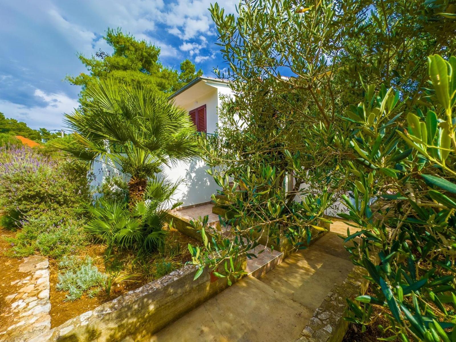 Apartment Tanja Vela Luka Dış mekan fotoğraf